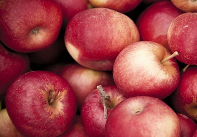 До кінця зими ціна на яблука може зрости до 15-20% До-кінця-зими-ціна-на-яблука-може-зрости-до-15-20%