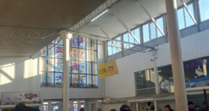 Скільки коштують домашні яйця на луцькому ринку: огляд цін Скільки-коштують-домашні-яйця-на-луцькому-ринку:-огляд-цін