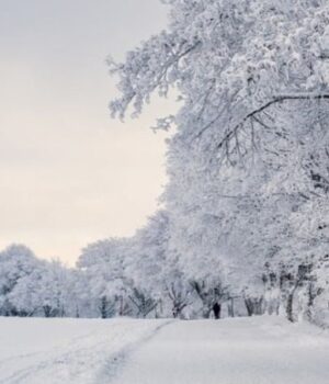 Якою-буде-погода-у-Луцьку-та-на-Волині-у-понеділок,-26-січня
