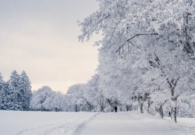 Якою буде погода у Луцьку та на Волині у понеділок, 26 січня Якою-буде-погода-у-Луцьку-та-на-Волині-у-понеділок,-26-січня