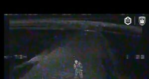 Нічний доктор Птахів Мадяра працює безупинно . (ВІДЕО) Нічний доктор Птахів Мадяра працює безупинно . (ВІДЕО)