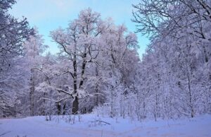 Прогноз на 26 січня: де сьогодні зіпсується погода Прогноз-на 26 січня:-де сьогодні-зіпсується-погода