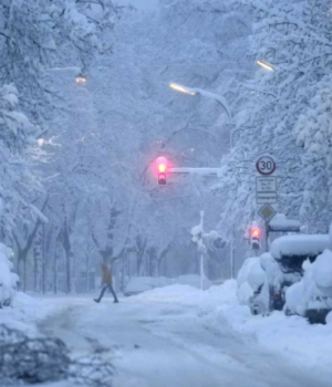 Випало-до-25-см-снігу:-в-Німеччині-–-аварії,-перебої-на-залізниці-та-в-аеропорту