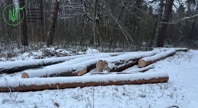 ДБР викрило махінацію з лісом на Волині ДБР-викрило-махінацію-з-лісом-на-Волині