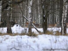 Волиньрада віддала в користування громадському об’єднанню «Буг» тисячі гектарів мисливських угідь Волиньрада-віддала-в-користування громадському-об’єднанню-«Буг»-тисячі-гектарів-мисливських-угідь