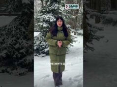 Загублений ліс. Анонс (ВІДЕО) Загублений ліс. Анонс (ВІДЕО)