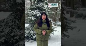Загублений ліс. Анонс (ВІДЕО) Загублений ліс. Анонс (ВІДЕО)
