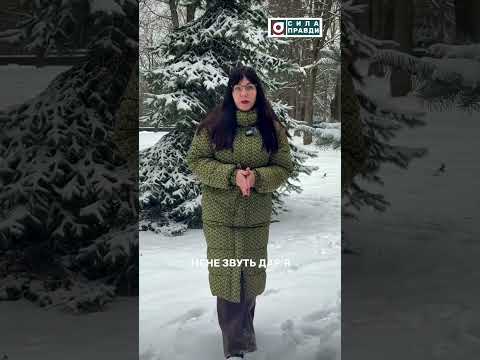 Загублений ліс. Анонс (ВІДЕО) Загублений ліс. Анонс (ВІДЕО)
