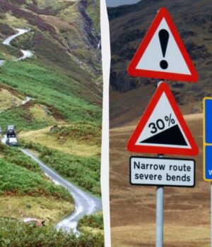 “Не-для-людей-зі-слабкими-нервами”:-у-Великій-Британії-є-“найдикіша”-і-“найстрашніша”-дорога