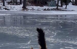 Від -16° до +12°: Україну розділить погодна аномалія 27 січня Від-16°-до +12°:-Україну-розділить-погодна-аномалія-27 січня