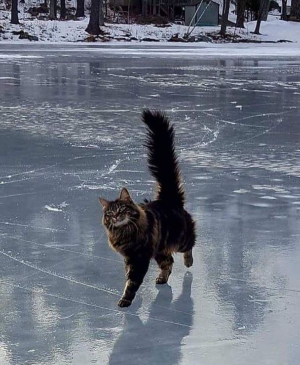 Від -16° до +12°: Україну розділить погодна аномалія 27 січня Від-16°-до +12°:-Україну-розділить-погодна-аномалія-27 січня