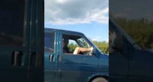 А що ви робите, коли в машині нема пахучки?😅 (ВІДЕО) А що ви робите, коли в машині нема пахучки?😅 (ВІДЕО)