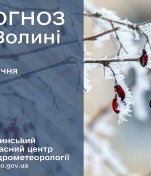 Якою-буде-погода-у-Луцьку-та-на-Волині-у-середу,-28-січня Якою-буде-погода-у-Луцьку-та-на-Волині-у-середу,-28-січня