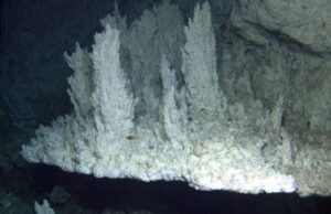 На дні океану ховається «загублене місто», яке не схоже ні на що на Землі На-дні-океану-ховається-«загублене-місто»,-яке-не-схоже-ні-на-що-на-Землі