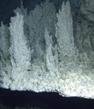 На-дні-океану-ховається-«загублене-місто»,-яке-не-схоже-ні-на-що-на-Землі На-дні-океану-ховається-«загублене-місто»,-яке-не-схоже-ні-на-що-на-Землі