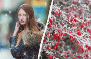 Важливе історичне свято в Україні: чому 28 січня на підлогу ставлять миску каші Важливе-історичне-свято-в-Україні:-чому-28-січня-на-підлогу-ставлять-миску-каші