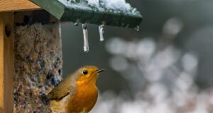 28 січня по всій Україні буде довгоочікуваний “плюс” 28-січня-по-всій-Україні-буде-довгоочікуваний-“плюс”