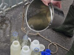 Волинські екологи перевіряють річку Турію на забруднення нечистотами Волинські-екологи-перевіряють-річку-Турію-на-забруднення-нечистотами