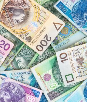 Зарплати-українців-у-Польщі-суттєво-зросли:-скільки-заробляють-мігранти Зарплати-українців-у-Польщі-суттєво-зросли:-скільки-заробляють-мігранти