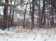 Чому розгорівся скандал із землею під Луцьком, яку орендує фірма сім’ї Палиць Чому-розгорівся-скандал-із-землею-під-Луцьком,-яку-орендує-фірма-сім’ї-Палиць