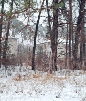 Чому-розгорівся-скандал-із-землею-під-Луцьком,-яку-орендує-фірма-сім’ї-Палиць 