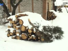 Закупівлі лісу на 27 млн: волинські шахти опинилися під прицілом нового слідства Закупівлі-лісу-на-27-млн:-волинські-шахти-опинилися-під-прицілом-нового-слідства