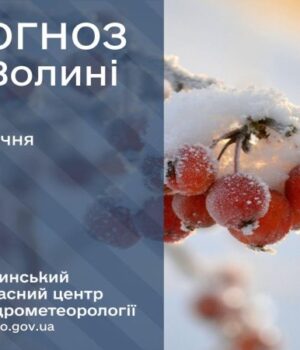 Якою-буде-погода-у-Луцьку-та-на-Волині-у-четвер,-29-січня