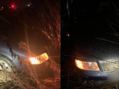 Honda виїхала на зустрічну і влетіла в Аudi: як волинянин поплатився за п’яну ДТП honda-виїхала-на-зустрічну-і-влетіла-в-Аudi:-як-волинянин-поплатився-за-п’яну-ДТП