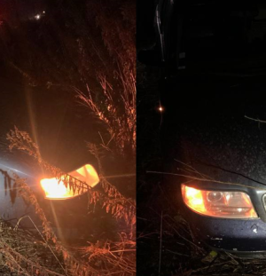 honda-виїхала-на-зустрічну-і-влетіла-в-Аudi:-як-волинянин-поплатився-за-п’яну-ДТП honda-виїхала-на-зустрічну-і-влетіла-в-Аudi:-як-волинянин-поплатився-за-п’яну-ДТП