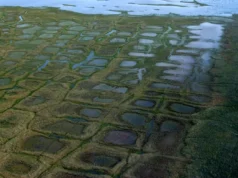 Суд дозволив ConocoPhillips продовжити розвідку нафти на Алясці Суд-дозволив-conocophillips-продовжити-розвідку-нафти-на-Алясці