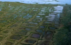 Суд дозволив ConocoPhillips продовжити розвідку нафти на Алясці Суд-дозволив-conocophillips-продовжити-розвідку-нафти-на-Алясці