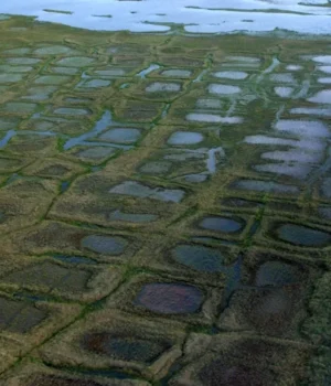 Суд-дозволив-conocophillips-продовжити-розвідку-нафти-на-Алясці