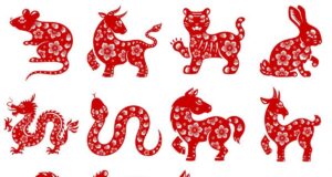 Ці китайські знаки Зодіаку скоро отримають довгоочікувану нагороду: що на них чекає Ці-китайські-знаки-Зодіаку-скоро-отримають-довгоочікувану-нагороду:-що-на-них-чекає