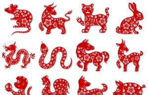 Ці китайські знаки Зодіаку скоро отримають довгоочікувану нагороду: що на них чекає Ці-китайські-знаки-Зодіаку-скоро-отримають-довгоочікувану-нагороду:-що-на-них-чекає