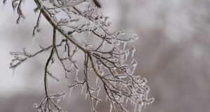 Якою буде погода в Україні у лютому: синоптики дали прогноз Якою-буде-погода-в-Україні-у-лютому:-синоптики-дали-прогноз