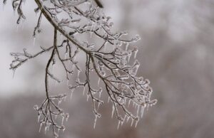 Якою буде погода в Україні у лютому: синоптики дали прогноз Якою-буде-погода-в-Україні-у-лютому:-синоптики-дали-прогноз