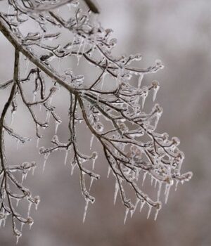 Якою-буде-погода-в-Україні-у-лютому:-синоптики-дали-прогноз