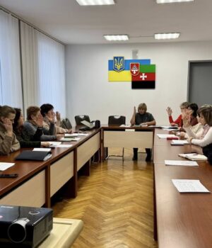 Відбулися-засідання-комісій-із-соціальних-питань-та-постійного-догляду Відбулися-засідання-комісій-із-соціальних-питань-та-постійного-догляду