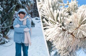 Синоптики дали прогноз погоди на лютий 2026: коли потеплішає і скільки буде снігу Синоптики-дали-прогноз-погоди-на-лютий-2026:-коли-потеплішає-і-скільки-буде-снігу