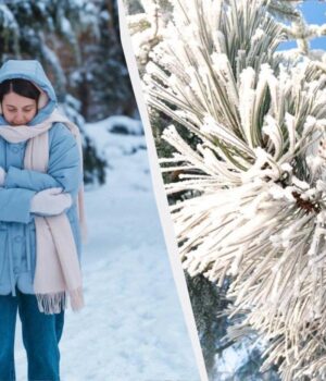 Синоптики-дали-прогноз-погоди-на-лютий-2026:-коли-потеплішає-і-скільки-буде-снігу