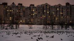 У квартирі +6°C. Як зберегти здоров’я у холод У-квартирі-+6°c.-Як-зберегти-здоров’я-у-холод