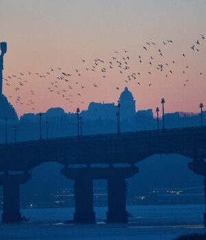 Угода-про-припинення-вогню:-чи отримувала-Україна-сигнал-від-РФ після-заяви-Трампа —-ft Угода-про-припинення-вогню:-чи отримувала-Україна-сигнал-від-РФ після-заяви-Трампа —-ft