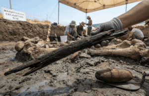 Дивом вціліли: археологи відкопали найдавніші у світі дерев’яні знаряддя праці Дивом-вціліли:-археологи-відкопали-найдавніші-у світі-дерев’яні-знаряддя-праці