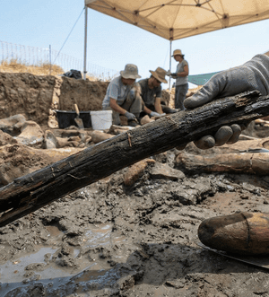 Дивом-вціліли:-археологи-відкопали-найдавніші-у світі-дерев’яні-знаряддя-праці