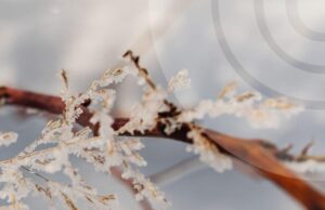 Якою буде погода на Волині у п’ятницю, 30 січня Якою-буде-погода-на-Волині-у-п’ятницю,-30-січня