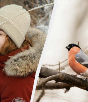 30-січня-буде-три-великі-свята-в-Україні:-прикмети-для-жінок-і-дітей