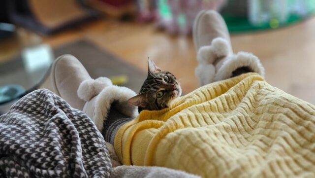 Кінець потепління: 30 січня до України повернуться морози Кінець-потепління:-30-січня-до-України-повернуться-морози