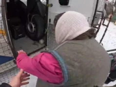 Рятувальники евакуювали мешканок Дружківки на Донеччині, одна не виходила з дому три роки Рятувальники-евакуювали-мешканок-Дружківки-на-Донеччині,-одна-не-виходила-з-дому-три-роки