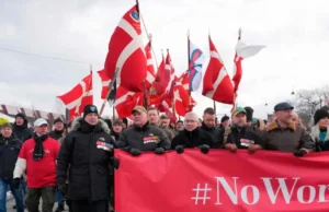 Ветерани Данії вийшли на мовчазний марш протесту проти заяв Дональда Трампа Ветерани-Данії-вийшли-на-мовчазний-марш-протесту-проти-заяв-Дональда-Трампа