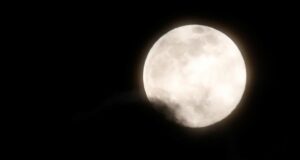 Чотири знаки Зодіаку відчують особливу силу в повню 1 лютого Чотири-знаки-Зодіаку-відчують-особливу-силу-в-повню-1-лютого